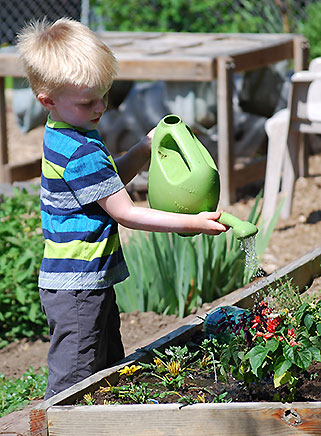 Watering the garden