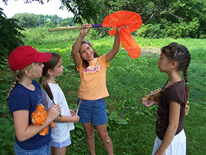 Catching bugs